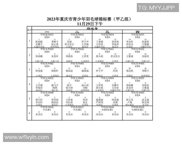 重庆羽毛球队配合策略分析与实战应用探讨