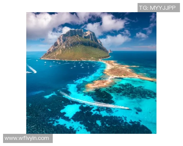 美属维京群岛与巴西的文化碰撞与经济发展对比分析